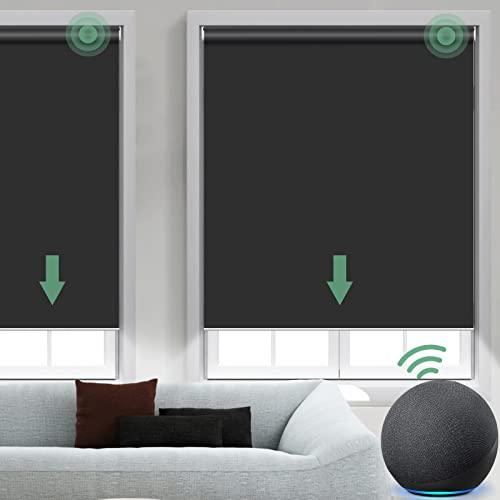 Yoolax smart motorized window shade (customizable)