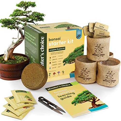 Bonsai starter kit